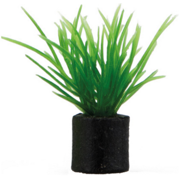 Hobby Διακοσμητικό φυτό Eleocharis mini, ss 1,5 x 1,5 x 3 cm Hobby Διακοσμητικό φυτό Eleocharis mini, ss 1,5 x 1,5 x 3 cm