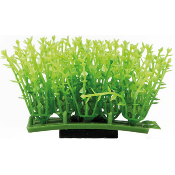 Hobby Διακοσμητικό φυτό Plant Pad 1, ss    7 x 4,5 x 5,5 cm