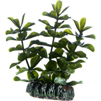 Hobby Διακοσμητικό φυτό ενυδρείου Bacopa 7cm Hobby Διακοσμητικό φυτό ενυδρείου Bacopa 7cm