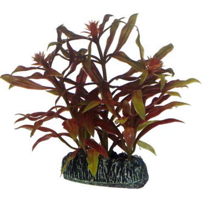 Hobby Διακοσμητικό τεχνητό φυτό Nesaea 7cm Hobby Διακοσμητικό τεχνητό φυτό Nesaea 7cm