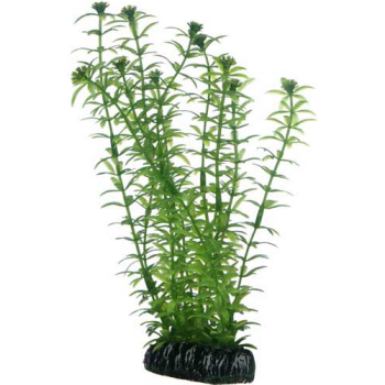 Hobby Διακοσμητικό τεχνητό φυτό Lagarosiphon 20cm Hobby Διακοσμητικό τεχνητό φυτό Lagarosiphon 20cm