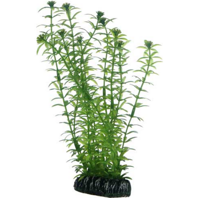 Hobby Διακοσμητικό τεχνητό φυτό Lagarosiphon 20cm Hobby Διακοσμητικό τεχνητό φυτό Lagarosiphon 20cm