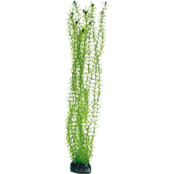 Hobby Διακοσμητικό τεχνητό φυτό Lagarosiphon 60cm Hobby Διακοσμητικό τεχνητό φυτό Lagarosiphon 60cm