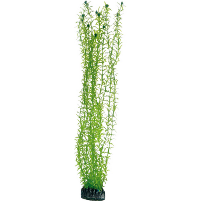 Hobby Διακοσμητικό τεχνητό φυτό Lagarosiphon 60cm Hobby Διακοσμητικό τεχνητό φυτό Lagarosiphon 60cm