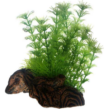 Hobby Διακοσμητικό φυτό Flora Root 3, S 17cm Hobby Διακοσμητικό φυτό Flora Root 3, S 17cm