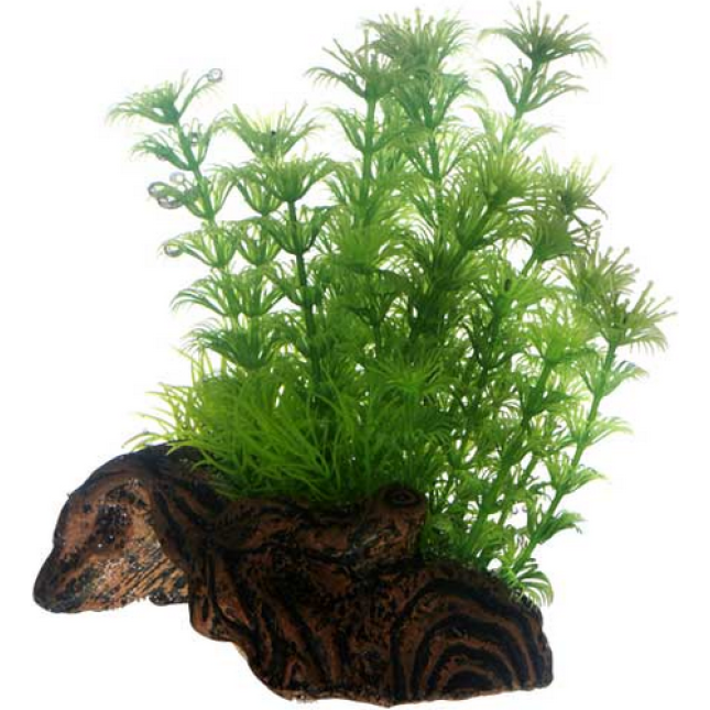 Hobby Διακοσμητικό φυτό Flora Root 3, S 17cm Hobby Διακοσμητικό φυτό Flora Root 3, S 17cm