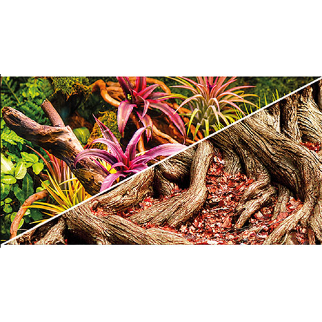 Hobby Φωτογραφία Φόντο Πολύχρωμη ζούγκλα / Strangler Fig 50 cm Hobby Φωτογραφία Φόντο Πολύχρωμη ζούγκλα / Strangler Fig 50 cm