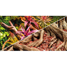 Hobby Φωτογραφία Φόντο Πολύχρωμη ζούγκλα / Strangler Fig 60 cm Hobby Φωτογραφία Φόντο Πολύχρωμη ζούγκλα / Strangler Fig 60 cm