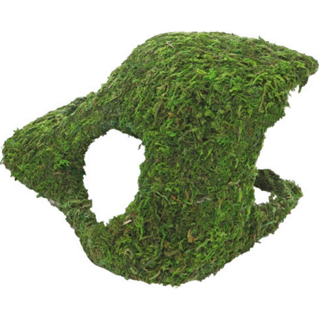 Hobby Jungle Cave σπήλαια της ζούγκλας είναι 100% φυσικά βρύα και ιδανικά για τροπικά terrarium Hobby Jungle Cave σπήλαια της ζούγκλας είναι 100% φυσικά βρύα και ιδανικά για τροπικά terrarium
