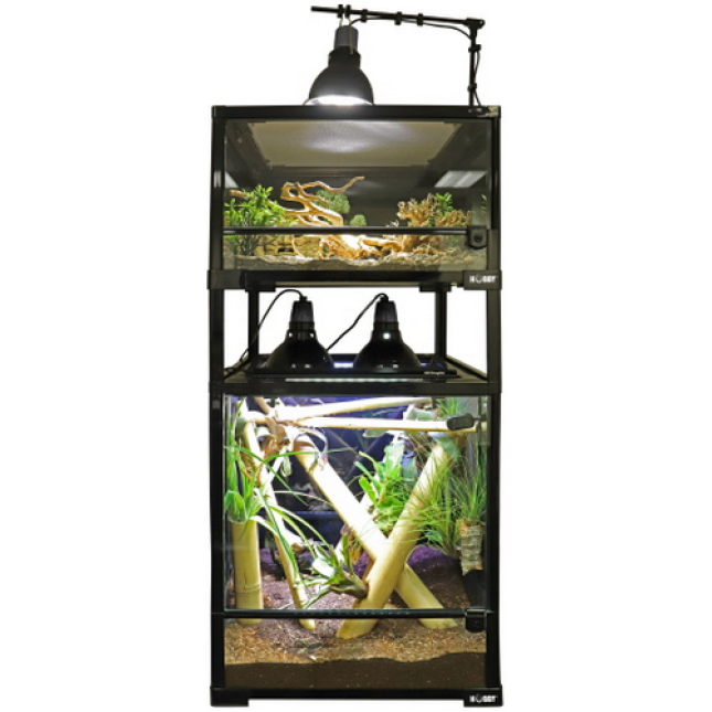 Hobby Terra Fix terrarium για αρχάριους ιδανικό για τη διατήρηση μικρών αμφιβίων