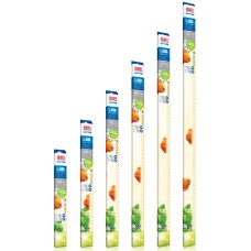 Juwel Λάμπα LED Nature δημιουργεί ζεστό και φυσικό φως ενώ τονίζει τα πράσινα χρώματα στο ενυδρείο