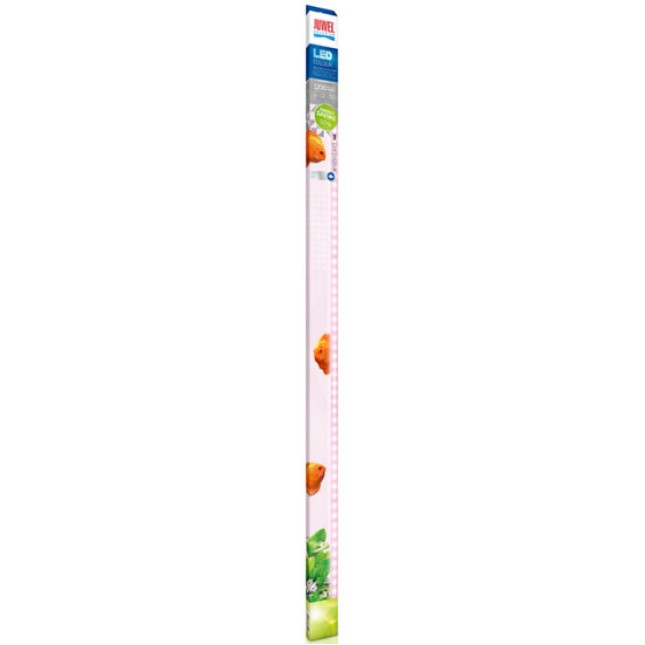 Juwel Λάμπα ενυδρείου LED Colour 4425K 31 W 1200 mm Juwel Λάμπα ενυδρείου LED Colour 4425K 31 W 1200 mm