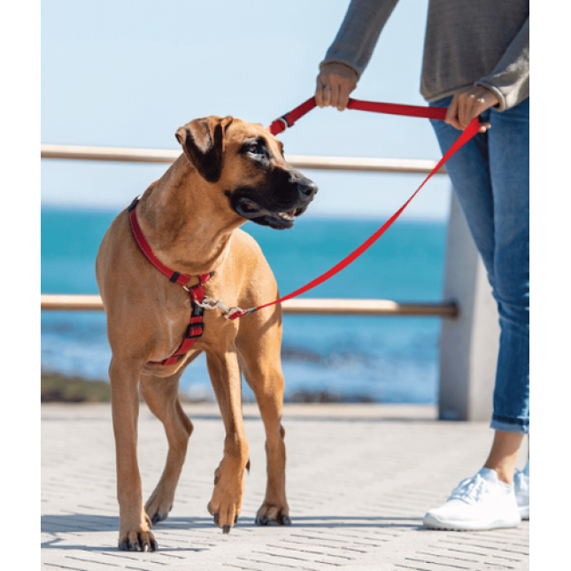 Rogz dogz οδηγός σκύλου utility από ιμάντα υψηλής αντοχής control multi lead κόκκινο Rogz dogz οδηγός σκύλου utility από ιμάντα υψηλής αντοχής control multi lead κόκκινο