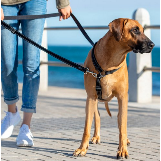 Rogz dogz οδηγός σκύλου utility από ιμάντα υψηλής αντοχής control multi lead κίτρινο Rogz dogz οδηγός σκύλου utility από ιμάντα υψηλής αντοχής control multi lead κίτρινο
