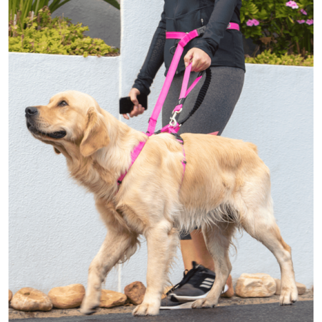 Rogz dogz οδηγός σκύλου Utility handsfree lead XL από ιμάντα υψηλής αντοχής με ανακλαστική ραφή Rogz dogz οδηγός σκύλου Utility handsfree lead XL από ιμάντα υψηλής αντοχής με ανακλαστική ραφή