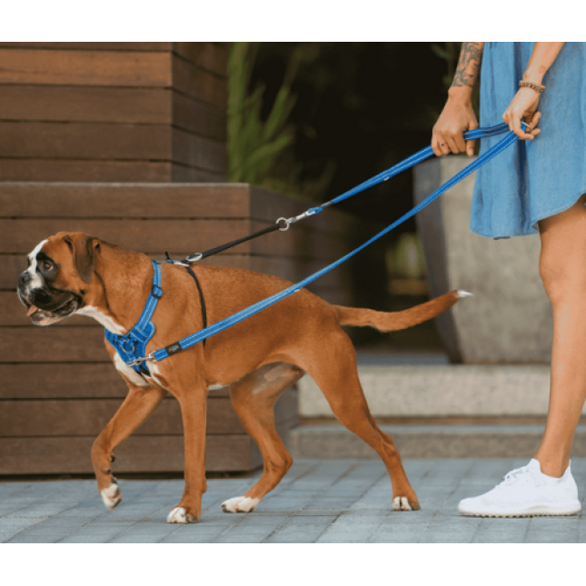 Rogz dogz σαμαράκι σκύλου Utility stop pull μαύρο από ιμάντα υψηλής αντοχής με ανακλαστική ραφή Rogz dogz σαμαράκι σκύλου Utility stop pull μαύρο από ιμάντα υψηλής αντοχής με ανακλαστική ραφή