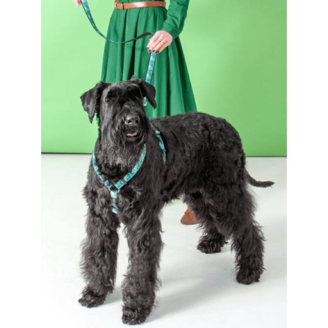 Rogz dogz Σαμαράκι σκύλου Fancy dress H-Harness Coral Island σε ιμάντα υψηλής ποιότητας και αντοχής Rogz dogz Σαμαράκι σκύλου Fancy dress H-Harness Coral Island σε ιμάντα υψηλής ποιότητας και αντοχής