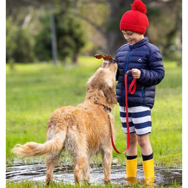 Rogz dogz οδηγός σκύλου Amphibian Classic Κίτρινο medium 1.8m Rogz dogz οδηγός σκύλου Amphibian Classic Κίτρινο medium 1.8m