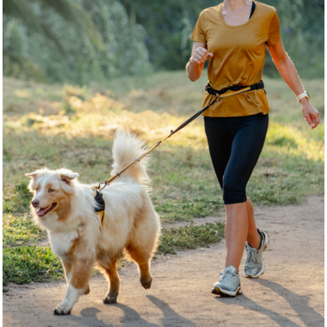 Rogz dogz οδηγός & ζώνη σκύλου AirTech Sport Μπεζ large-Xlarge διαθέτει κουμπί άμεσης απασφάλισης Rogz dogz οδηγός & ζώνη σκύλου AirTech Sport Μπεζ large-Xlarge διαθέτει κουμπί άμεσης απασφάλισης