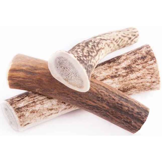 Wildz Φυσικά κέρατα ελαφιού XL 15 cm-105g Wildz Φυσικά κέρατα ελαφιού XL 15 cm-105g