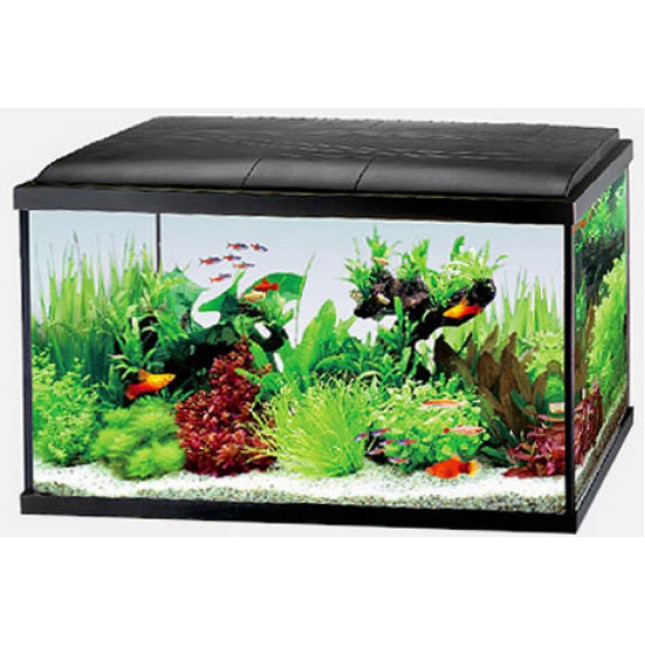 Resun Ripple ενυδρείο 59x30x38cm 57L με led και φίλτρο Resun Ripple ενυδρείο 59x30x38cm 57L με led και φίλτρο