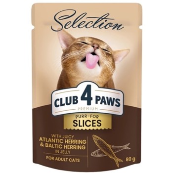 Kormotech Club 4 Paws υγρή τροφή για ενήλικες γάτες με ρέγγα σε ζελέ 80gr Kormotech Club 4 Paws υγρή τροφή για ενήλικες γάτες με ρέγγα σε ζελέ 80gr