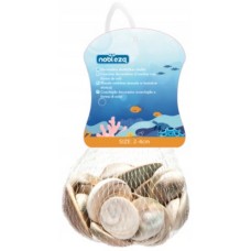 Nobleza Διακοσμητικά κοχύλια ήλιος 2-4cm 150g Nobleza Διακοσμητικά κοχύλια ήλιος 2-4cm 150g