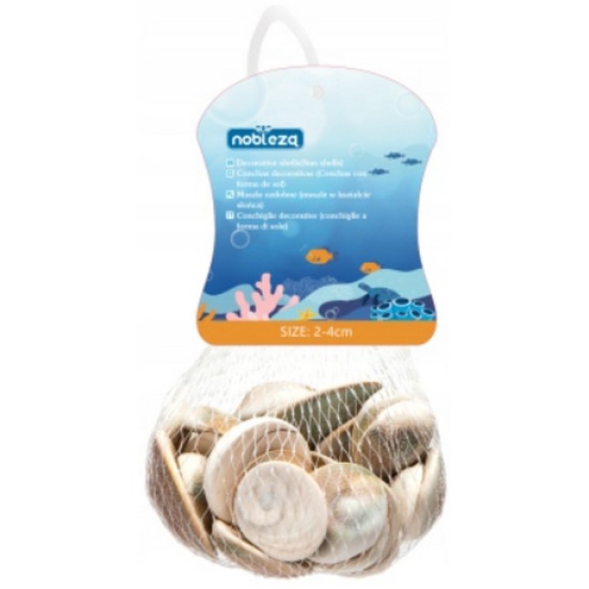 Nobleza Διακοσμητικά κοχύλια ήλιος 2-4cm 150g Nobleza Διακοσμητικά κοχύλια ήλιος 2-4cm 150g