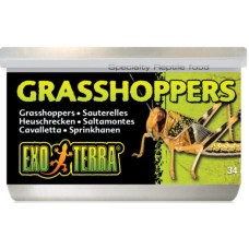 Exo Terra Ειδική τροφή για ερπετά με ακρίδες 34g