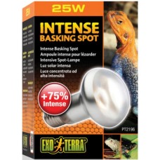 Exo Terra Λάμπα Ημέρας πυκνής δέσμης φωτός 25W-V Exo Terra Λάμπα Ημέρας πυκνής δέσμης φωτός 25W-V