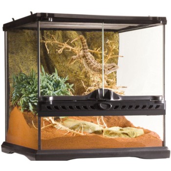 Exo Terra Mεσαίου πλάτους γυάλινο τερράριουμ Mini 30x30x30cm Exo Terra Mεσαίου πλάτους γυάλινο τερράριουμ Mini 30x30x30cm