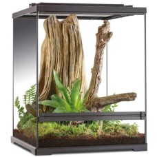 Exo Terra Dart Frog Terrarium ιδανικός βιότοπος για αμφίβια 45x45x60cm Exo Terra Dart Frog Terrarium ιδανικός βιότοπος για αμφίβια 45x45x60cm