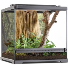 Exo Terra Dart Frog Terrarium ιδανικός βιότοπος για αμφίβια