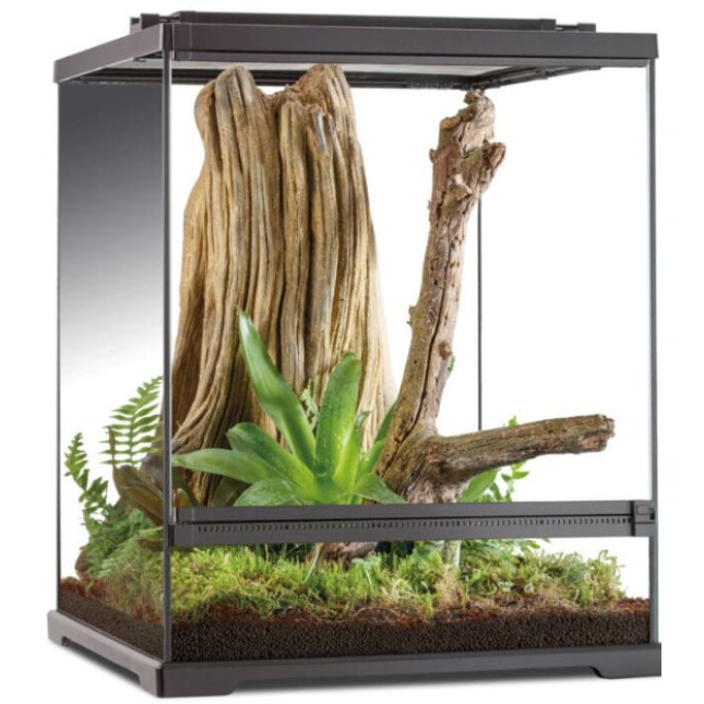 Exo Terra Dart Frog Terrarium ιδανικός βιότοπος για αμφίβια Exo Terra Dart Frog Terrarium ιδανικός βιότοπος για αμφίβια