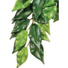 Exo Terra Κρεμαστό φυτό τροπικού δάσους Ficus
