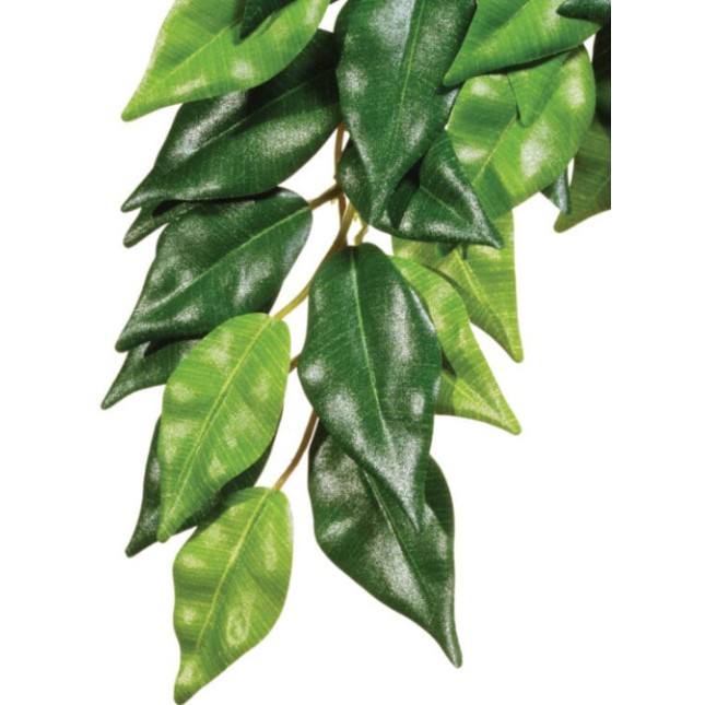 Exo Terra Κρεμαστό φυτό τροπικού δάσους Ficus