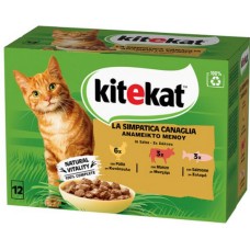 Kitekat Πλήρης τροφή για ενήλικες γάτες με με κοτόπουλο, μοσχάρι και σολομό σε σάλτσα 12 x 85gr Kitekat Πλήρης τροφή για ενήλικες γάτες με με κοτόπουλο, μοσχάρι και σολομό σε σάλτσα 12 x 85gr