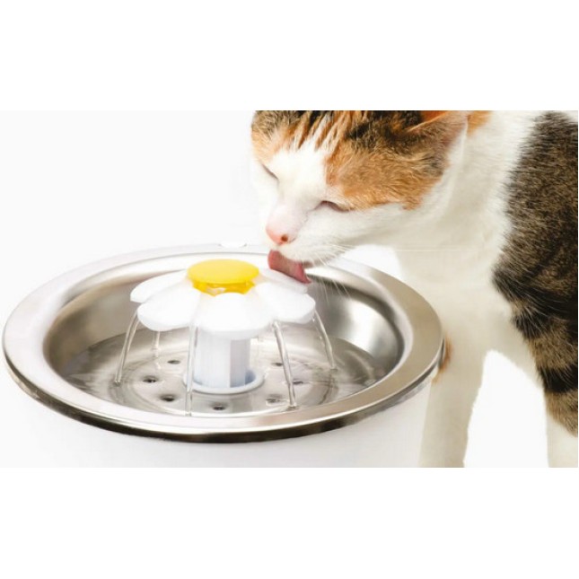 Catit Ποτίστρα γάτας Σιντριβάνι w. Stainless Steel Top επάνω κάλυμμα από ανοξείδωτο ατσάλι Catit Ποτίστρα γάτας Σιντριβάνι w. Stainless Steel Top επάνω κάλυμμα από ανοξείδωτο ατσάλι