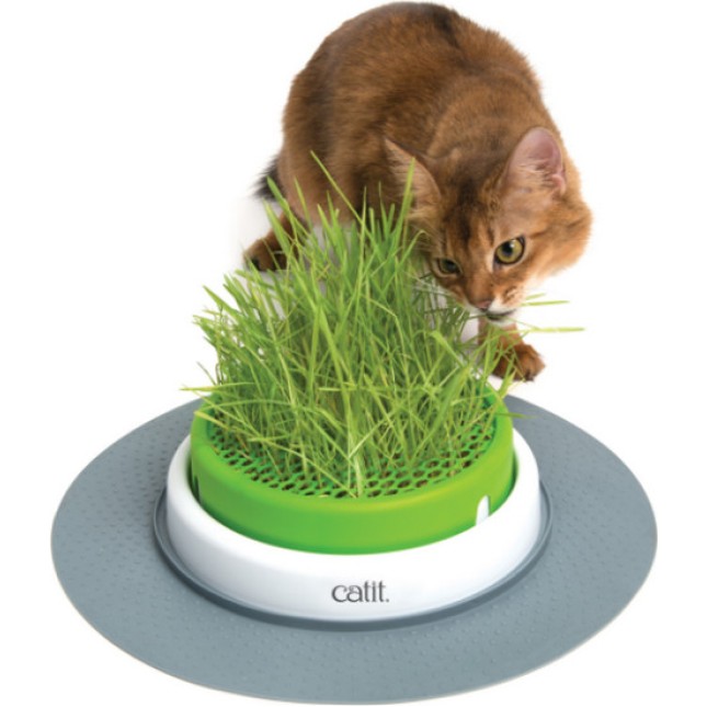 Catit Χόρτο φυτευτής για γάτες Senses 2.0 Grass Planter περιλαμβάνει σπόρους και βερμικουλίτη Catit Χόρτο φυτευτής για γάτες Senses 2.0 Grass Planter περιλαμβάνει σπόρους και βερμικουλίτη