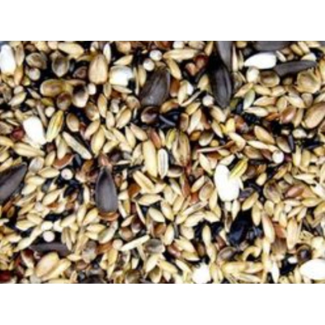 Royal Vogelfutter Μείγμα υψηλής ποιότητας χωρίς ρούπσεν, με μεγάλο ποσοστό λιπαρών σπόρων Royal Vogelfutter Μείγμα υψηλής ποιότητας χωρίς ρούπσεν, με μεγάλο ποσοστό λιπαρών σπόρων