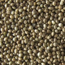 Καναβούρι για όλα τα ωδικά πουλιά 500gr