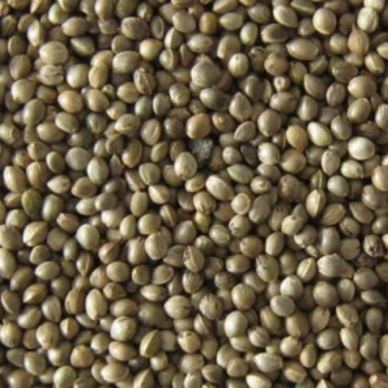 Καναβούρι για όλα τα ωδικά πουλιά 500gr