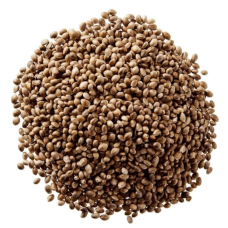Hoebregts Καναβούρι ψιλό, σακί 20kg