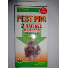 ΠΟΝΤΙΚΟΠ. PEST PRO ΜΕΣΑΙΑ 19x9 5x12 Τ