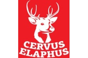 Cervus elaphus