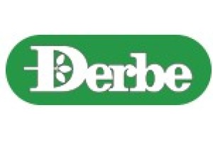 Derbe