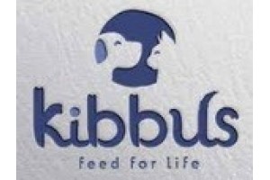 Kibbus