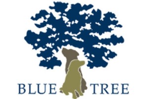 Blue Tree