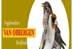 VAN OBBERGEN