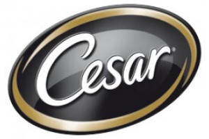 Cesar